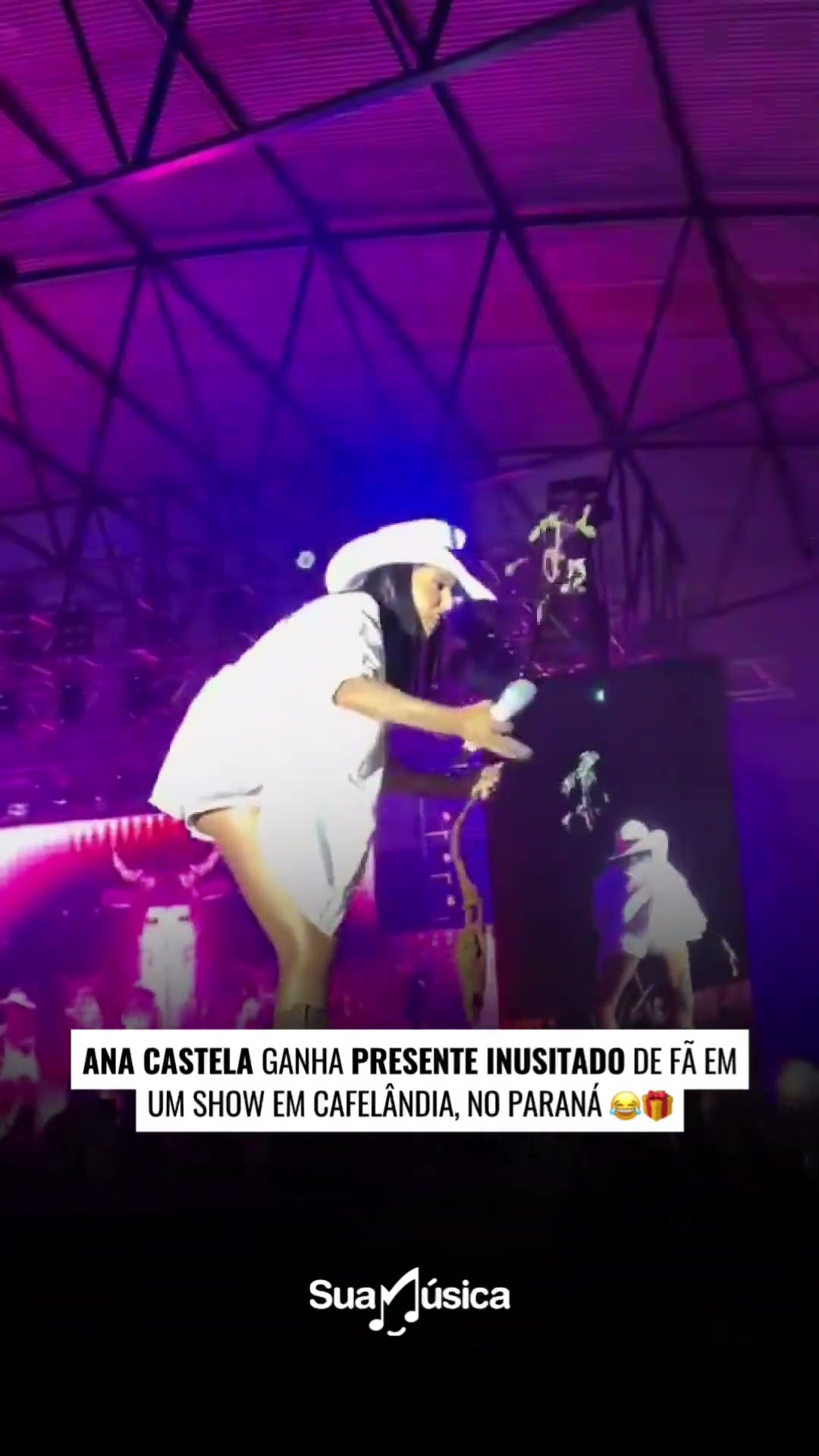 Conta pra gente o que achou do presente!? ? #anacastela #show #boiadeira #presenteinusitado